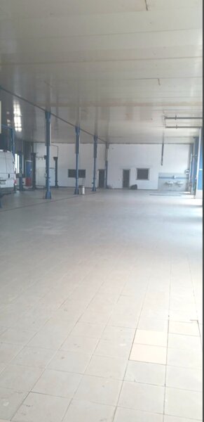 Pallady, Ikea, Hala  115Mp